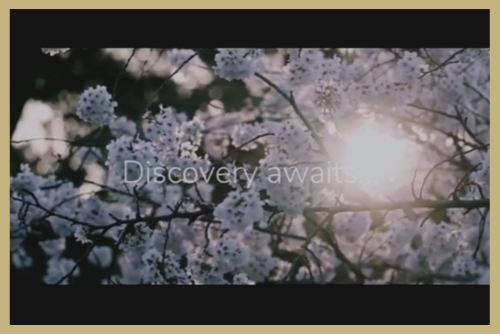 Experience Ishikawa's beauty at home with our #VisitIshikawaLater video