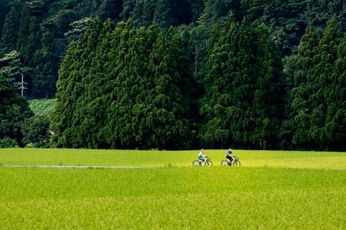 Hakusan Cycling