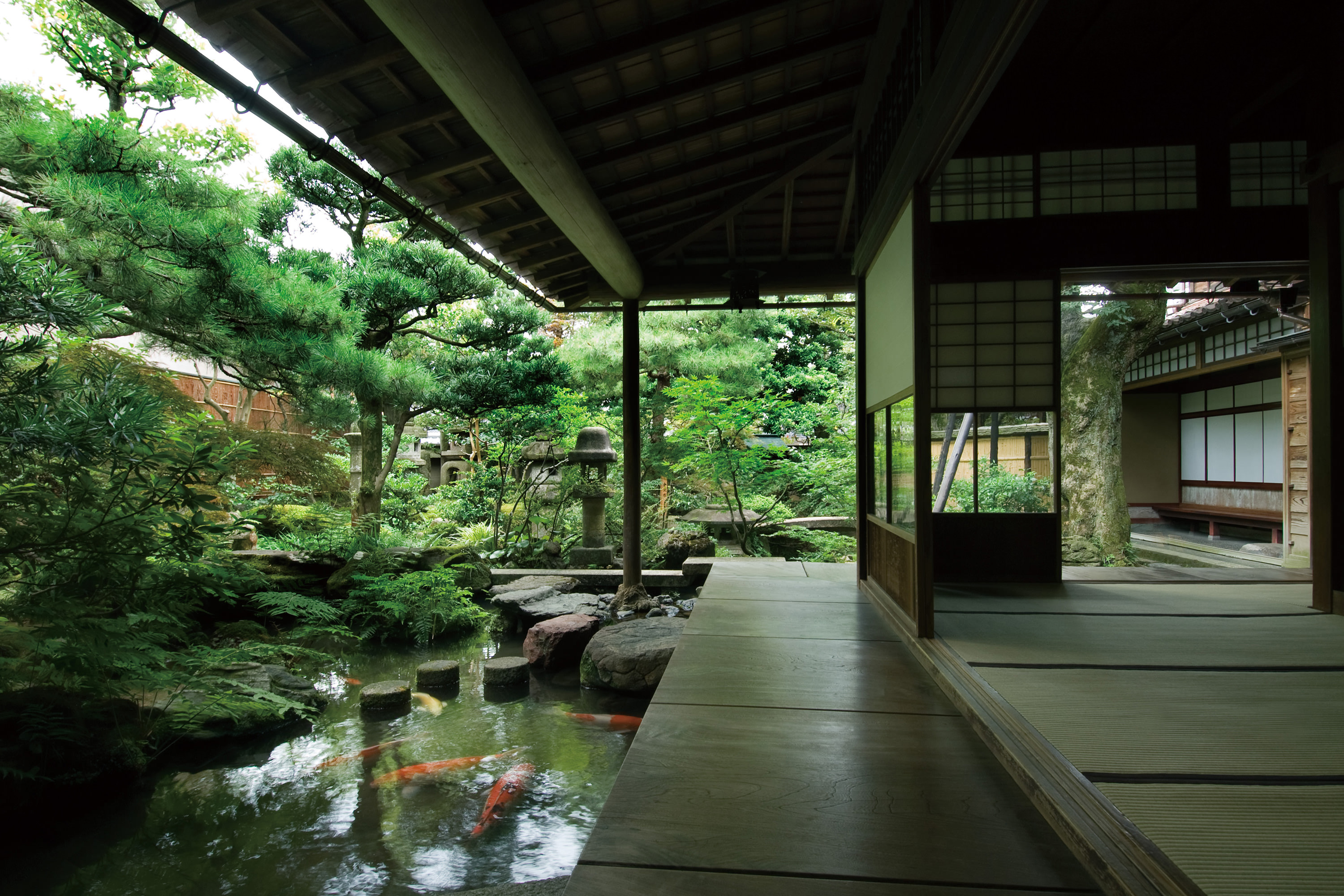 Travel Trade & Media