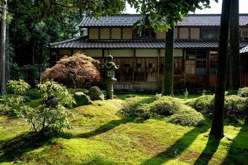 Hiyo Koke no Sato Moss Garden
