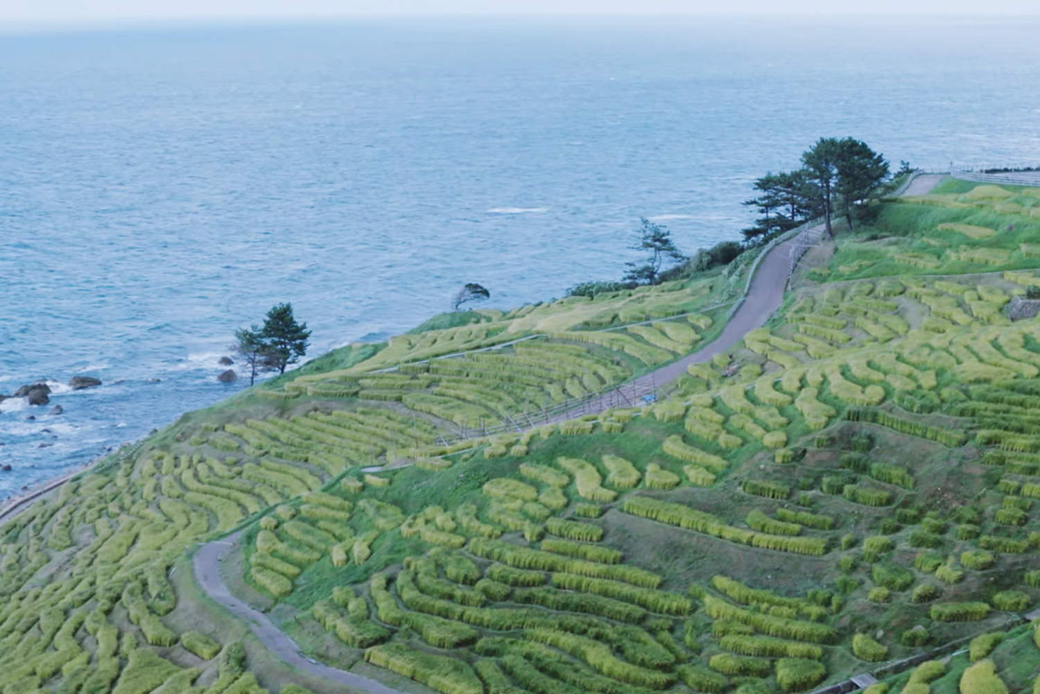 Youtube Stunning coastlines, rural landscapes, and a rich agricultural history