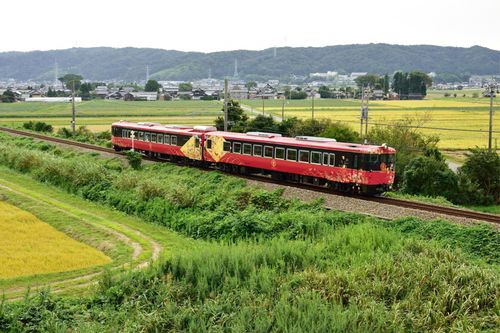 Hanayome Noren Excursion Train